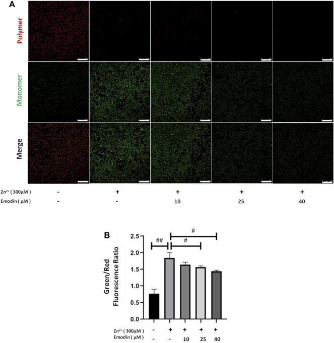 FIGURE 3