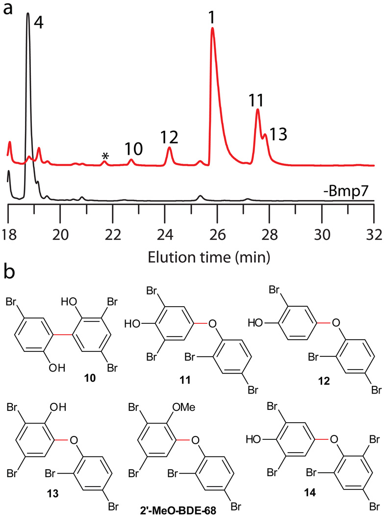 Figure 5