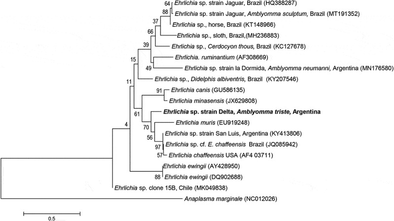 Figure 1.