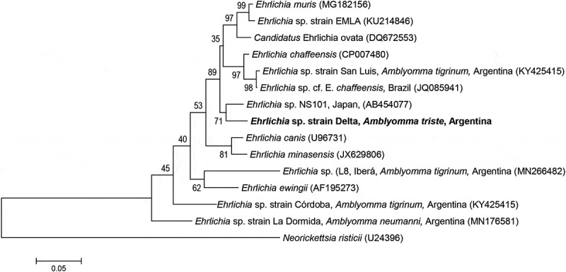 Figure 2.