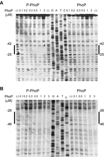 FIG. 5.