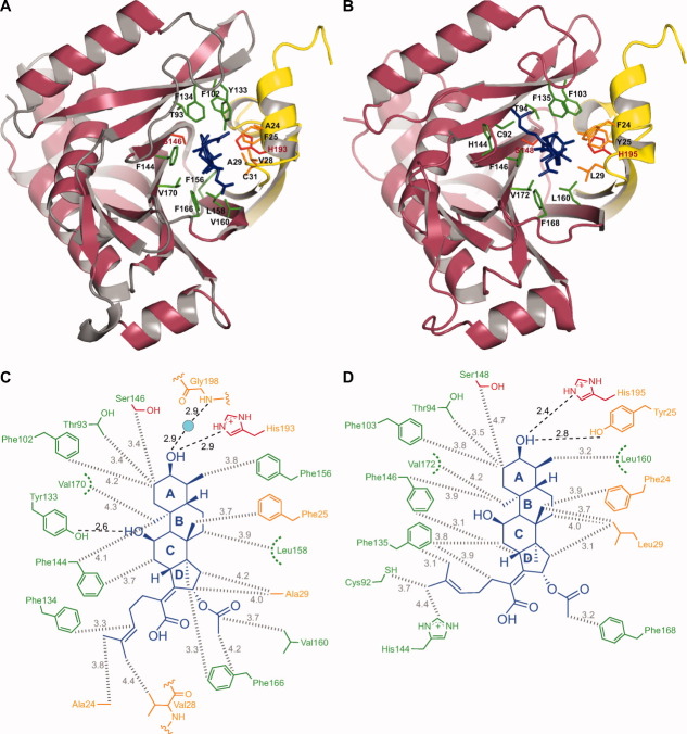 Figure 4