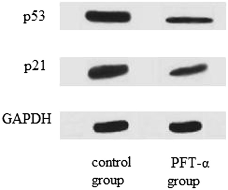 Fig. 5