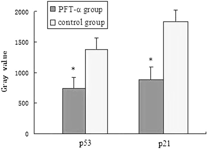 Fig. 6