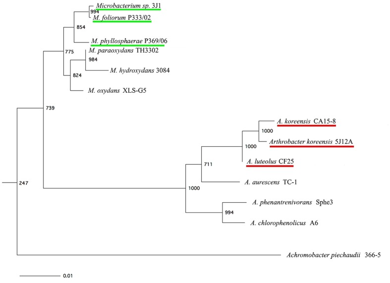 FIGURE 2