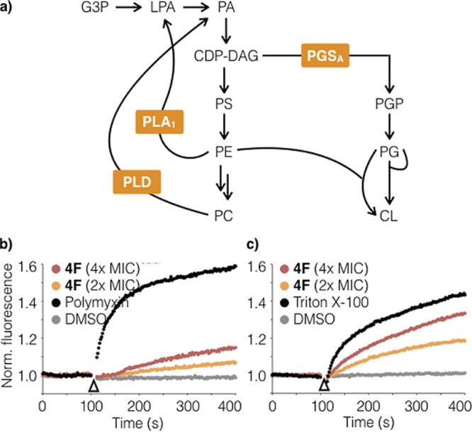 FIG 4 