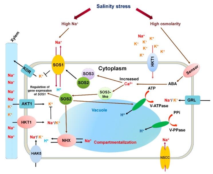 Figure 2