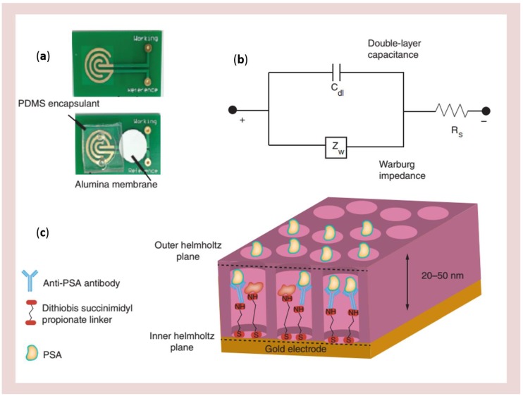 Figure 14