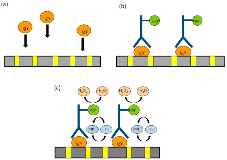 Figure 13