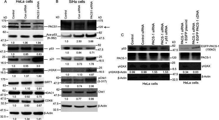 Figure 10.