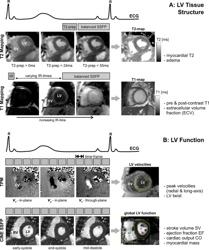 Figure 2: