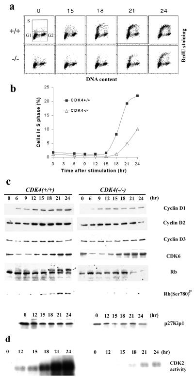 FIG. 7