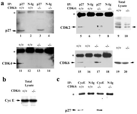 FIG. 8