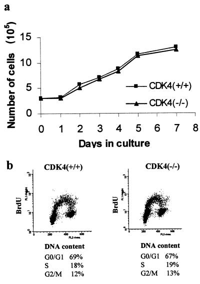 FIG. 6