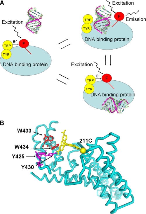 FIGURE 1.