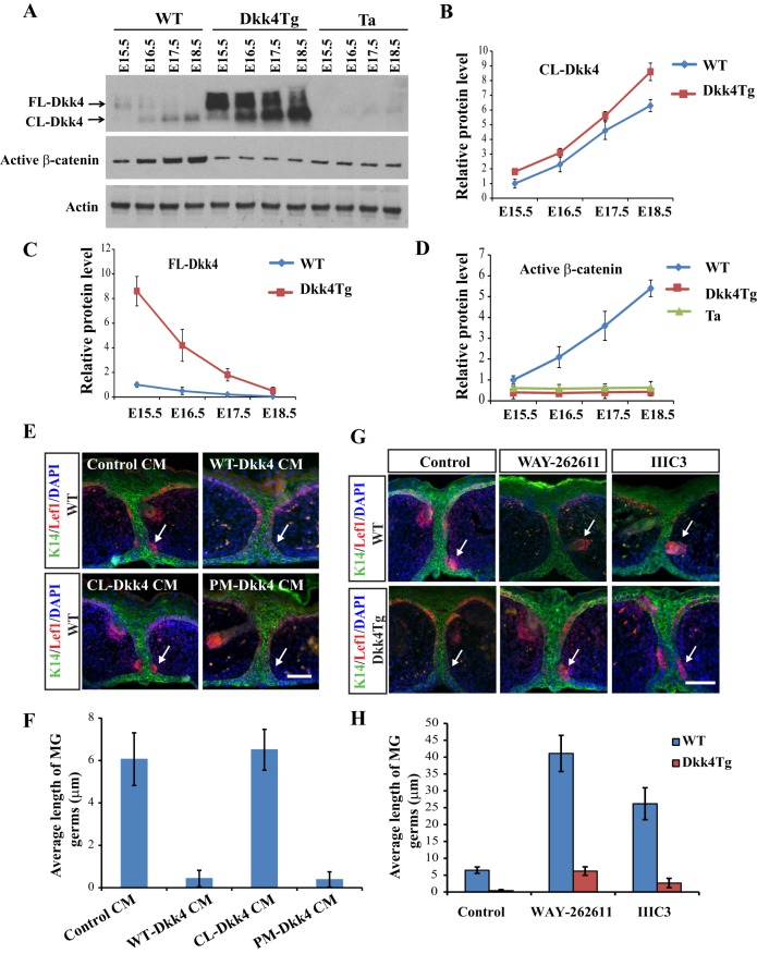 Fig. 4.