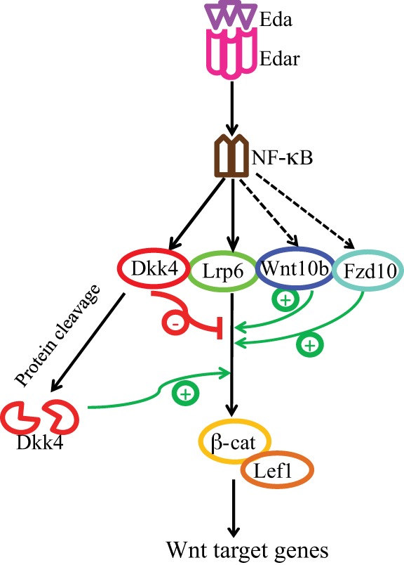 Fig. 8.