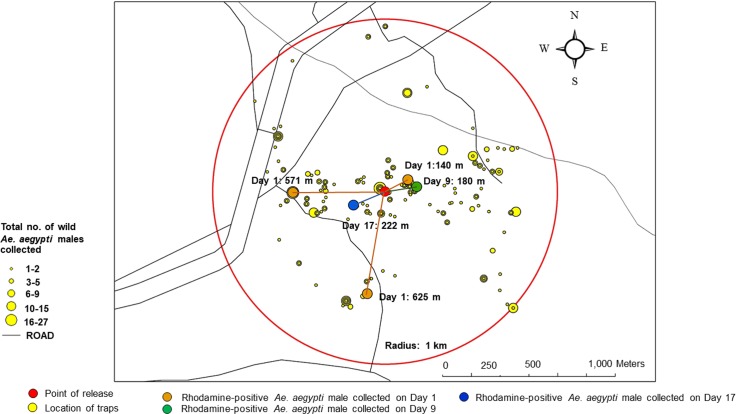 Fig 4