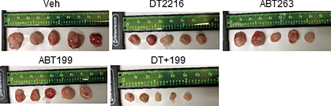 Extended Data Fig. 9