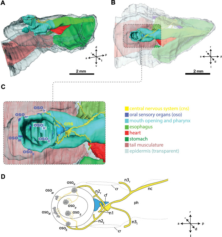 Fig. 3