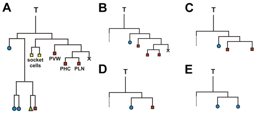 Fig. 7.