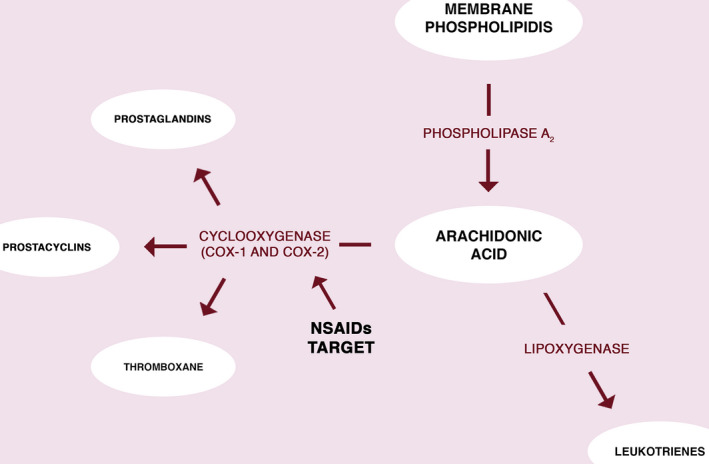 FIGURE 1