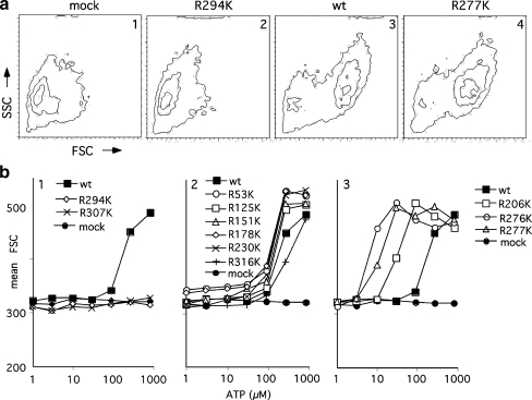 Fig. 3