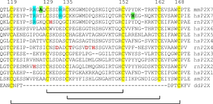 Fig. 6