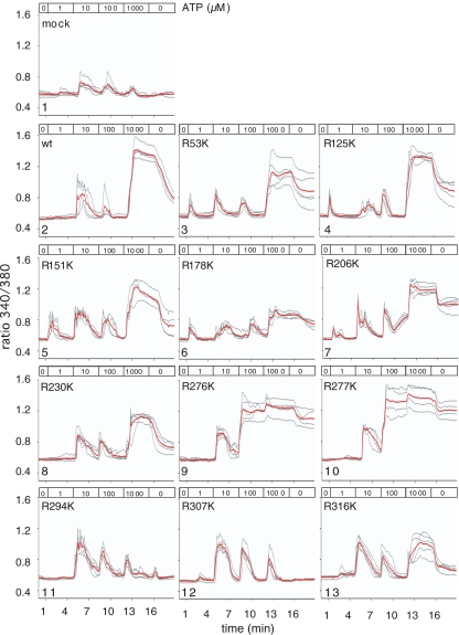 Fig. 2