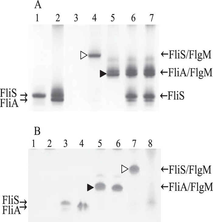 FIG 6