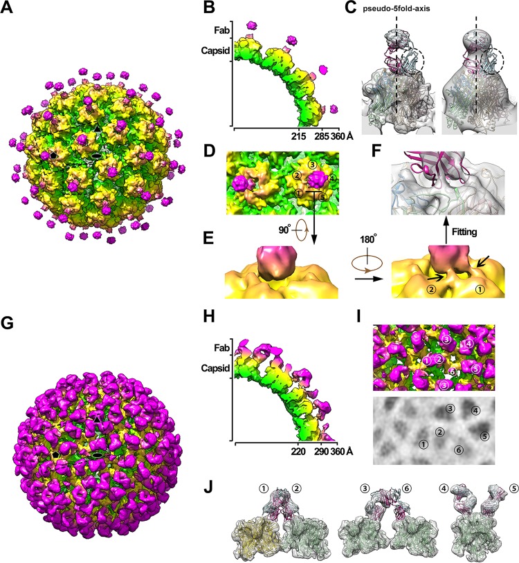 FIG 4 