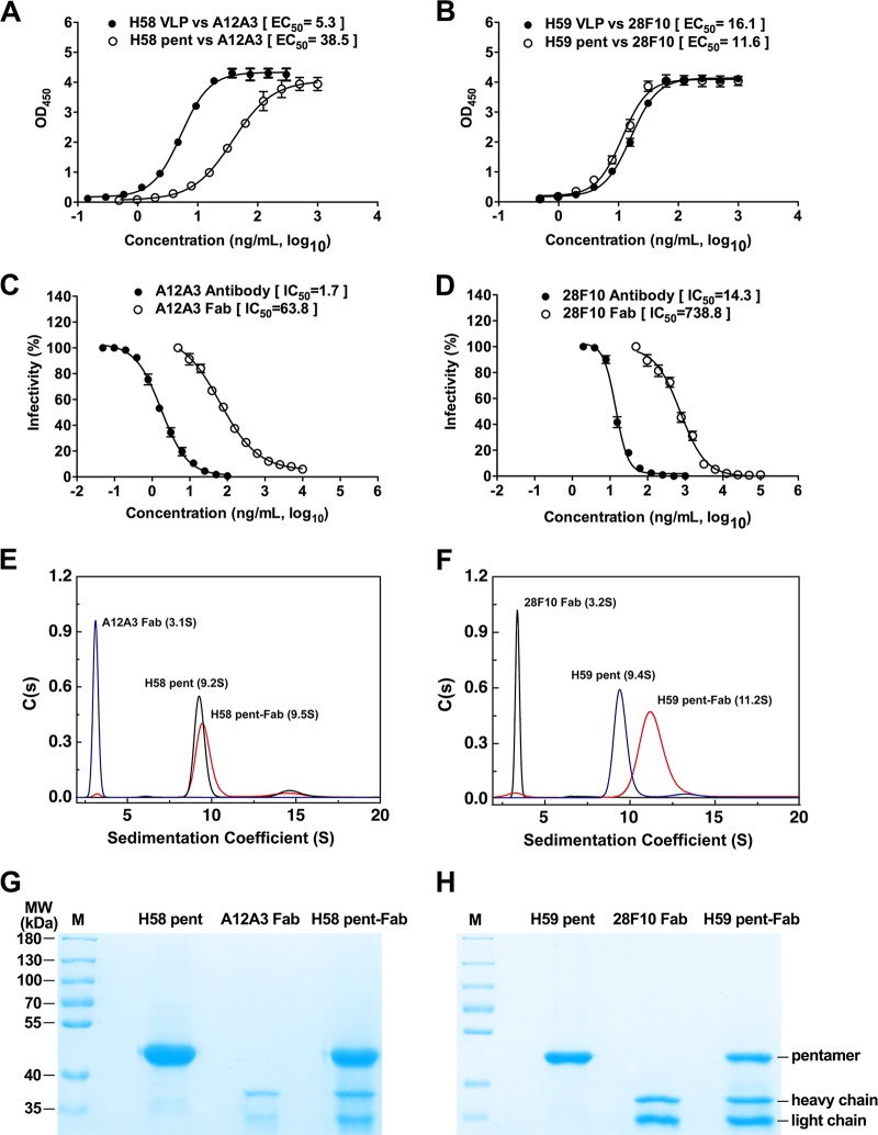 FIG 1 