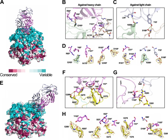 FIG 3 