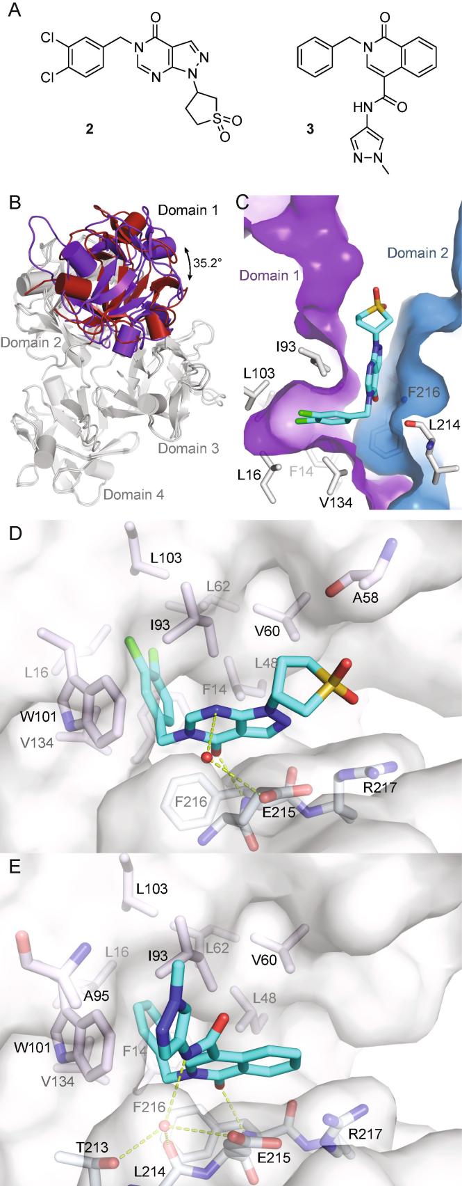 Fig. 2