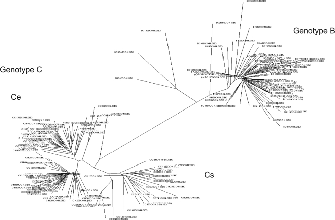 FIG. 2.