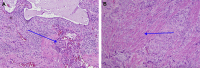 Fig. 6