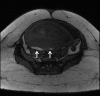 Fig. 4