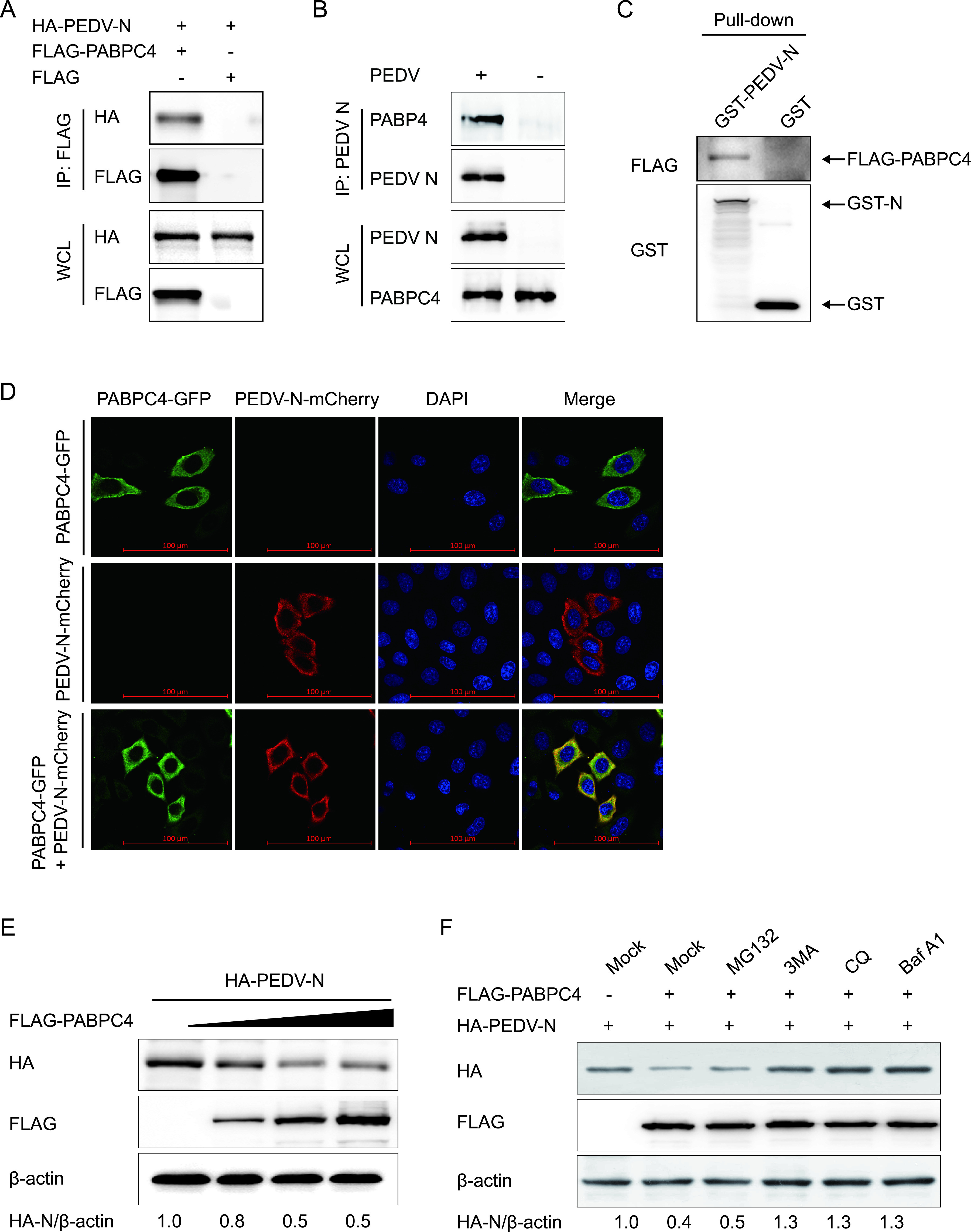 FIG 3