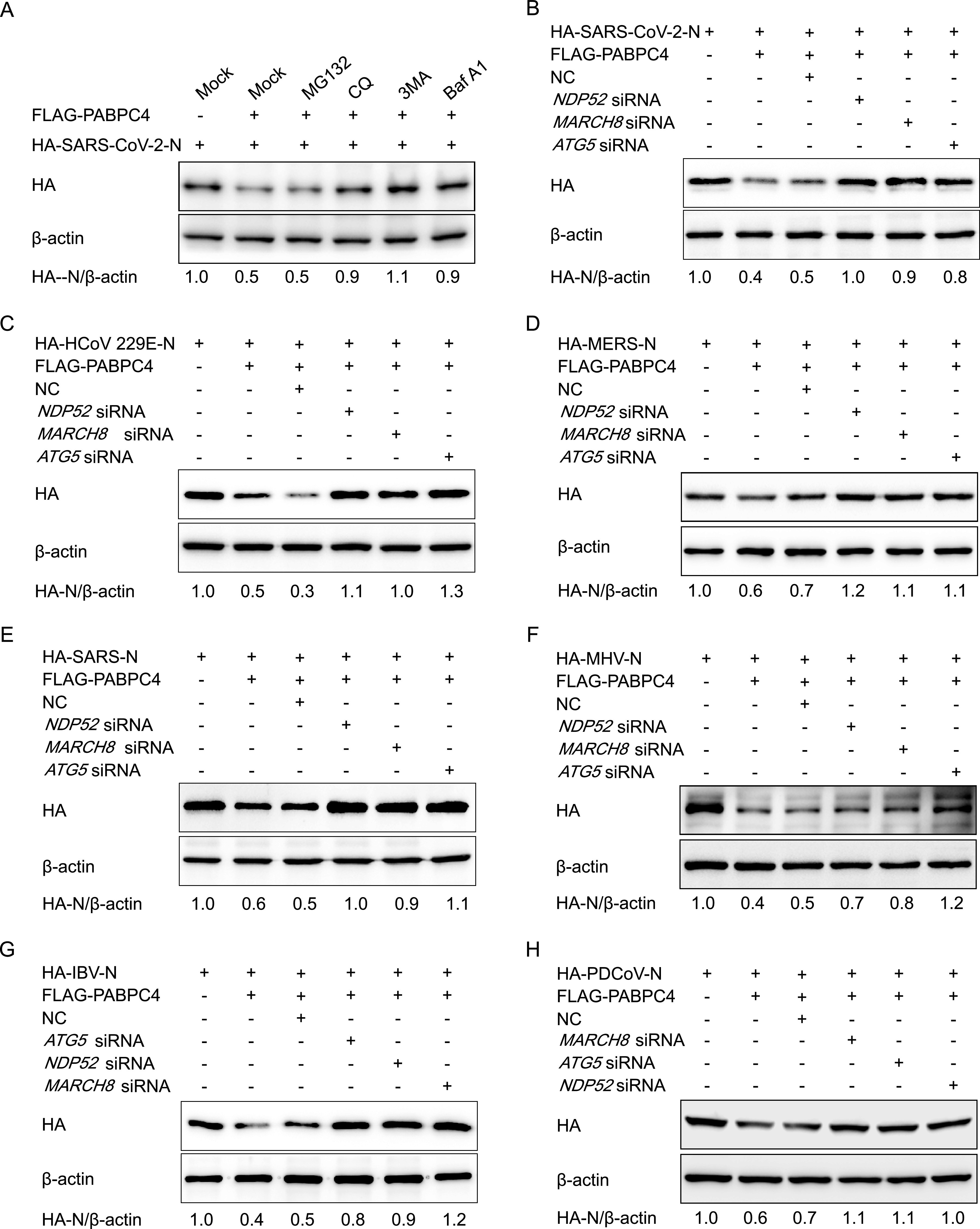 FIG 6