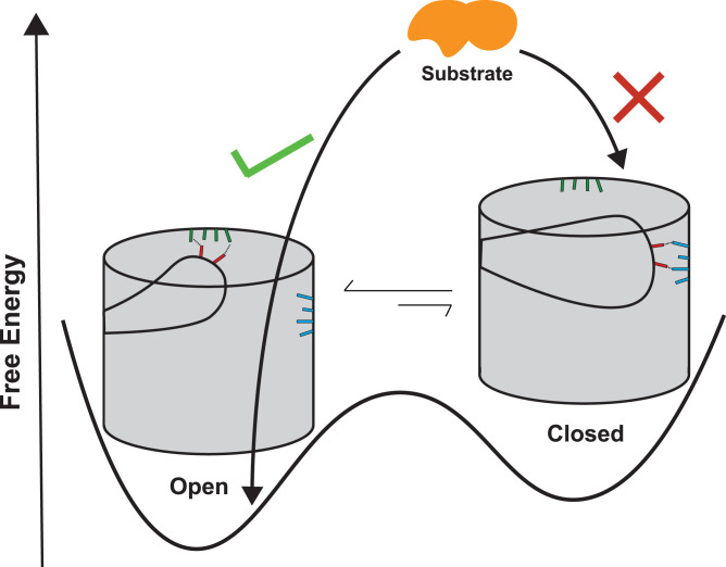 Fig. 8.