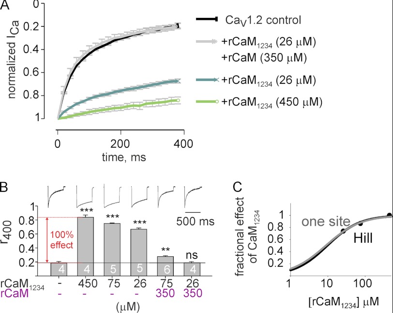 FIGURE 4.