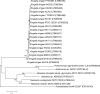 FIG 2
