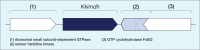 FIG 1