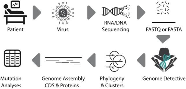 Fig. 1.