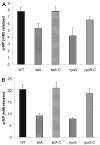 FIG. 4.