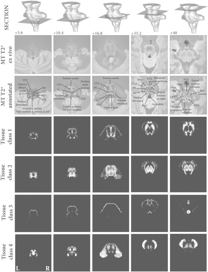 Fig. 1