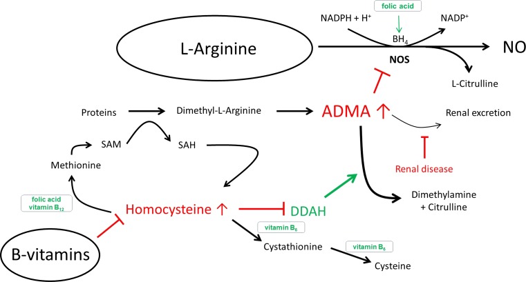 Fig. 6