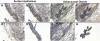 <b>Figure 1.</b>