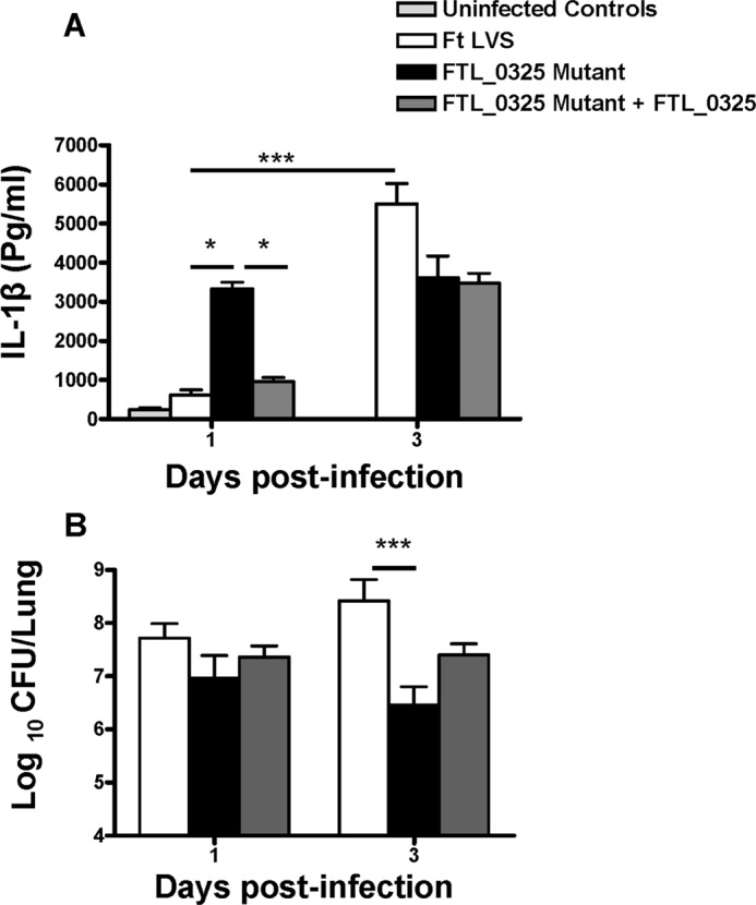 FIGURE 11.