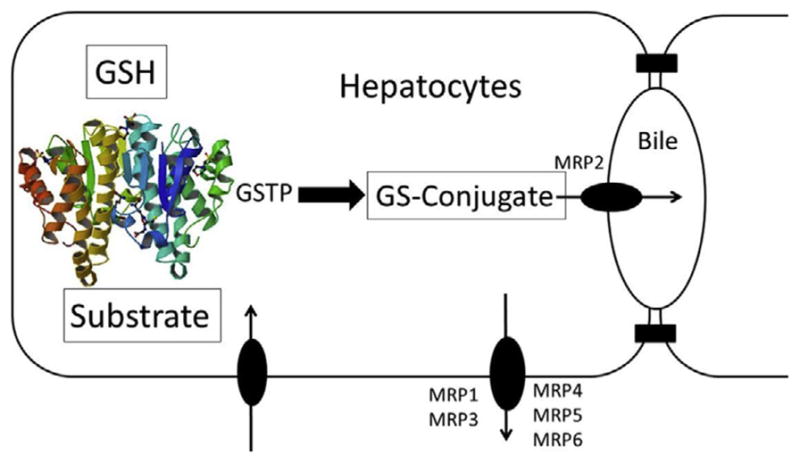 Figure 4.1